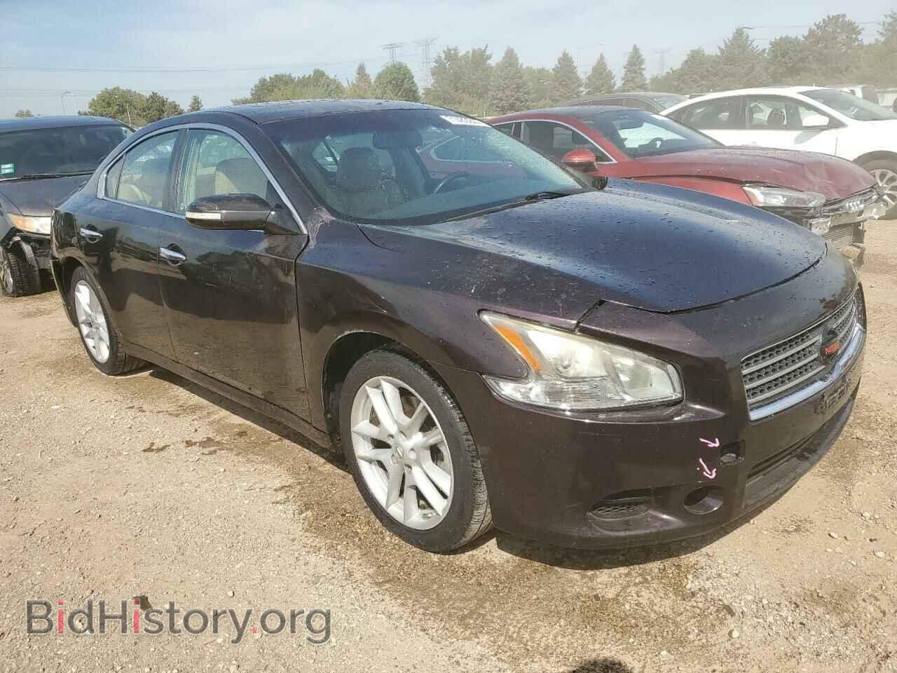2010 NISSAN MAXIMA - VIN: 1N4AA5AP7AC807969 - Фото 4