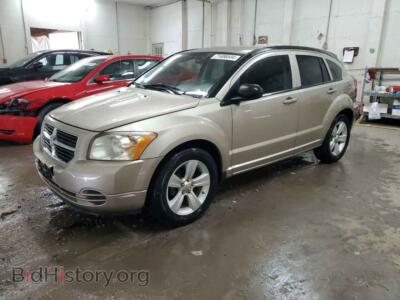 2010 Dodge CALIBER SXT, beige — VIN 1B3CB4HA3AD632501, Copart