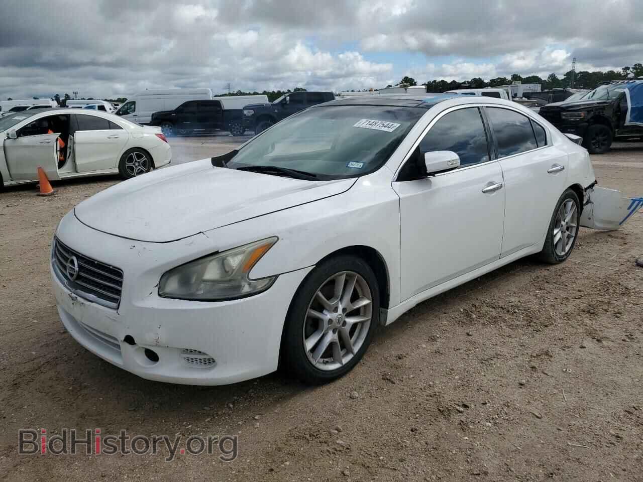 Photo 1N4AA5AP6BC815501 - NISSAN MAXIMA 2011