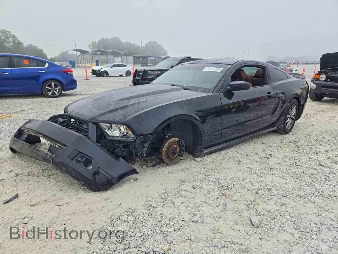 Фотография 1ZVBP8AM4B5155643 - FORD MUSTANG 2011
