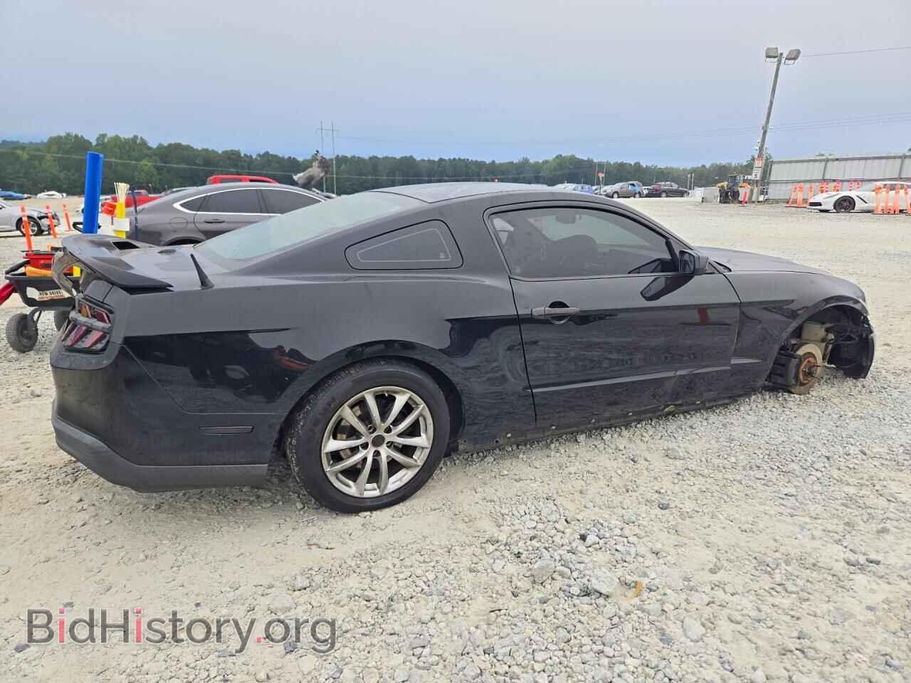 2011 FORD MUSTANG - VIN: 1ZVBP8AM4B5155643 - Фото 3