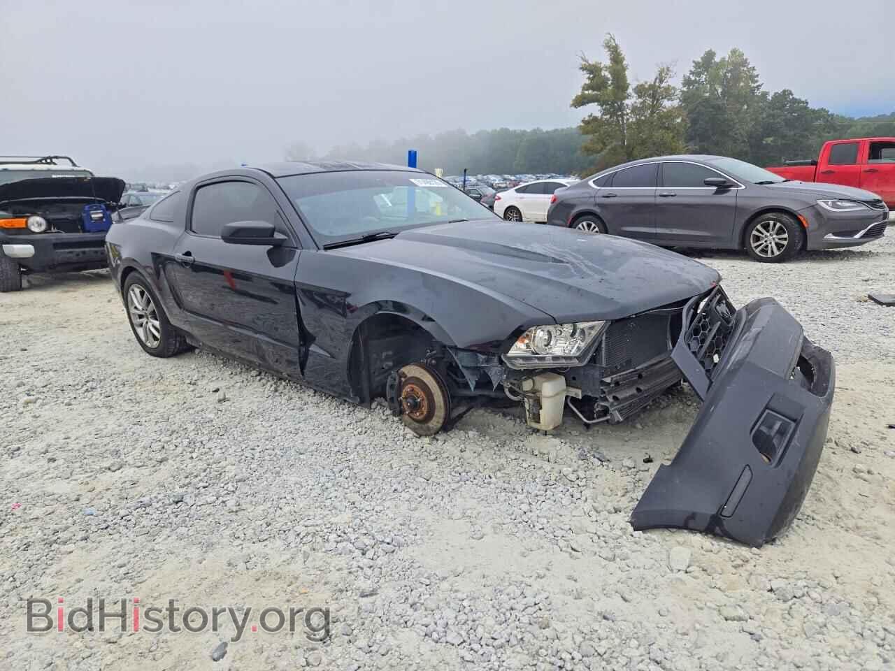 2011 FORD MUSTANG - VIN: 1ZVBP8AM4B5155643 - Фото 4