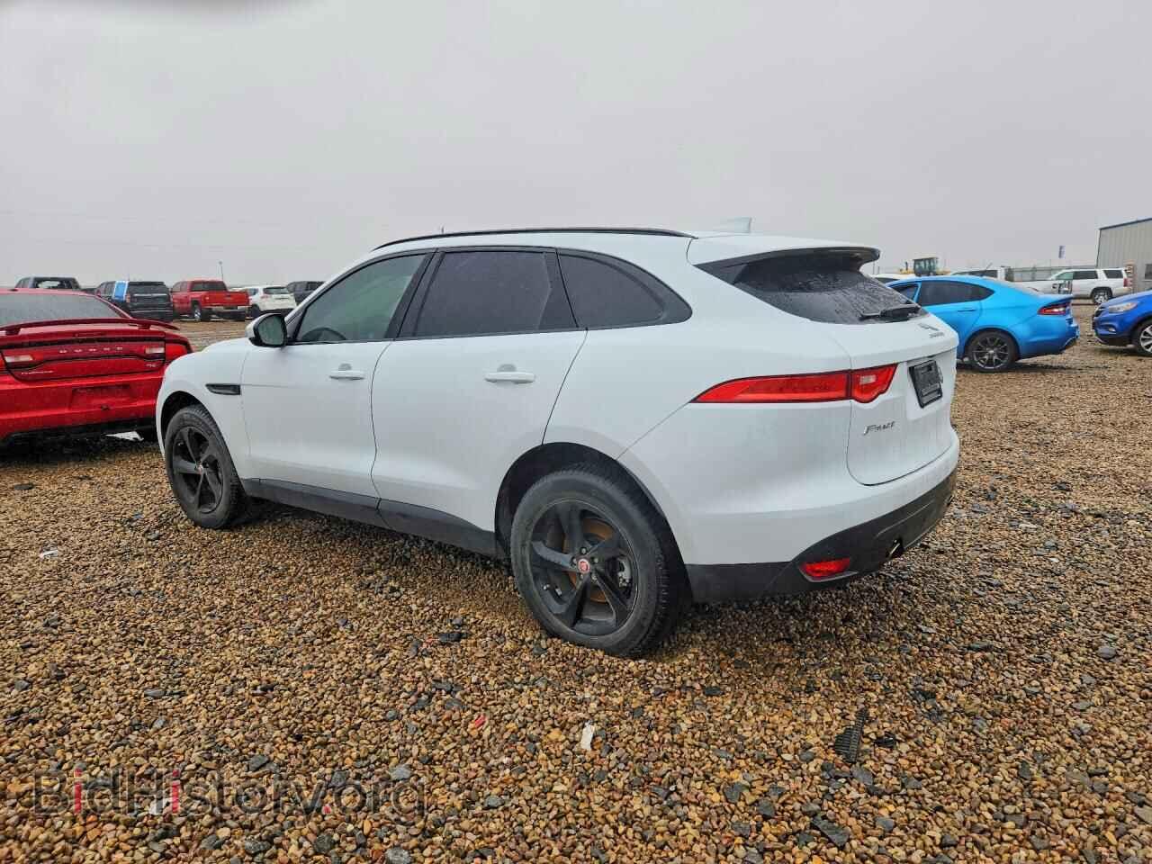 2019 JAGUAR F-PACE - VIN: SADCK2FX3KA601640 - Фото 2
