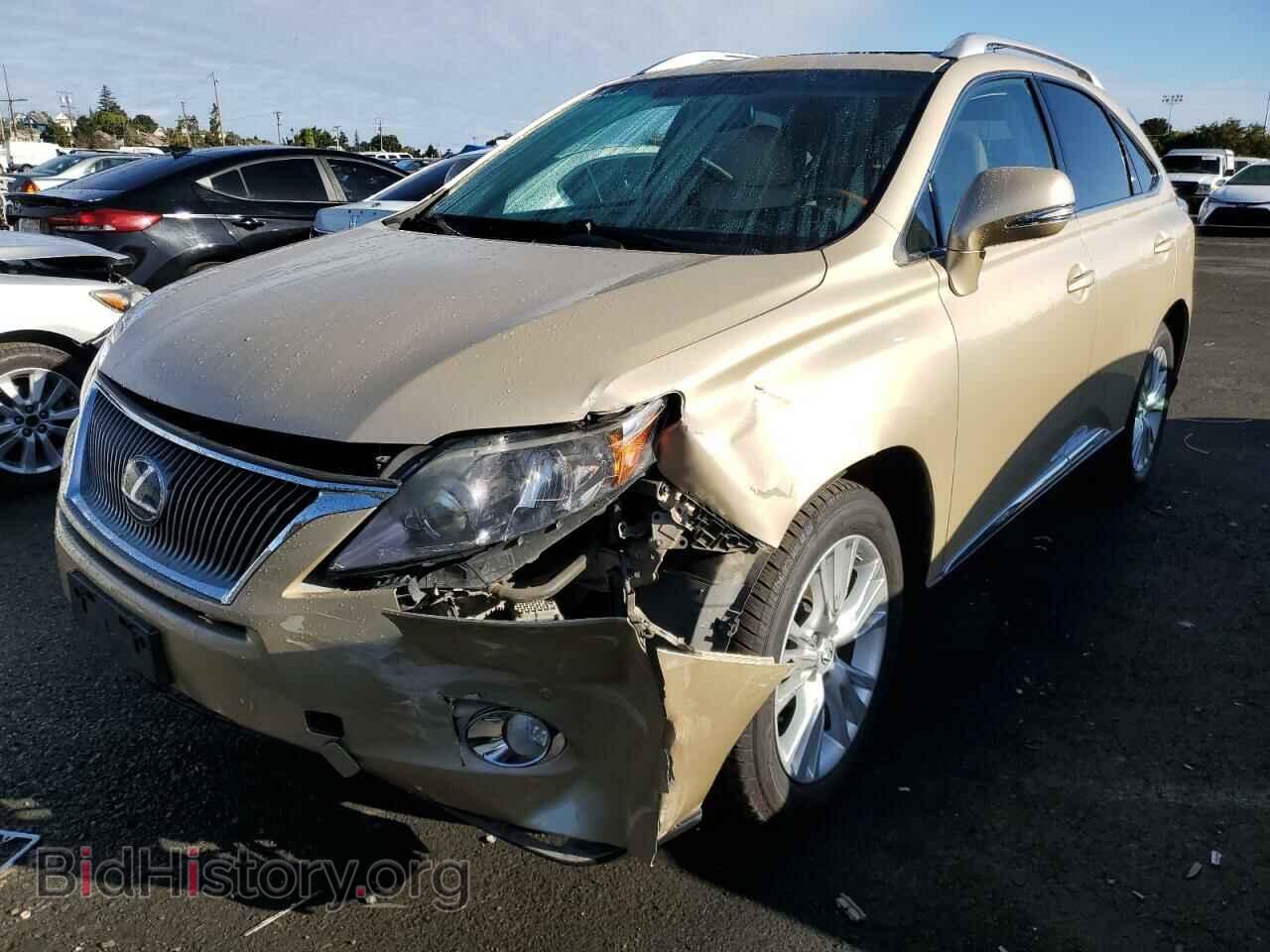 Фотография JTJBC1BA0A2014169 - LEXUS RX450 2010