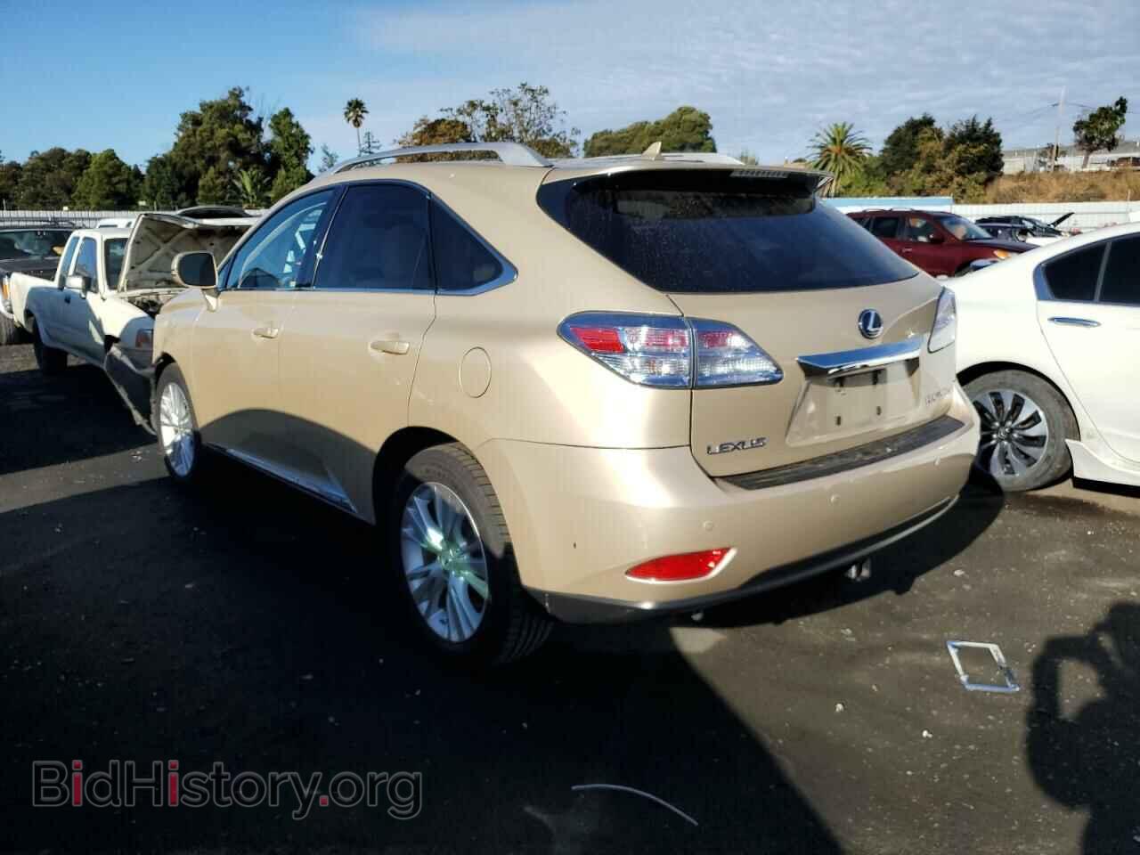 2010 LEXUS RX450 - VIN: JTJBC1BA0A2014169 - Фото 2