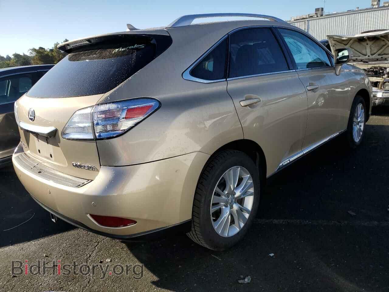 2010 LEXUS RX450 - VIN: JTJBC1BA0A2014169 - Фото 3
