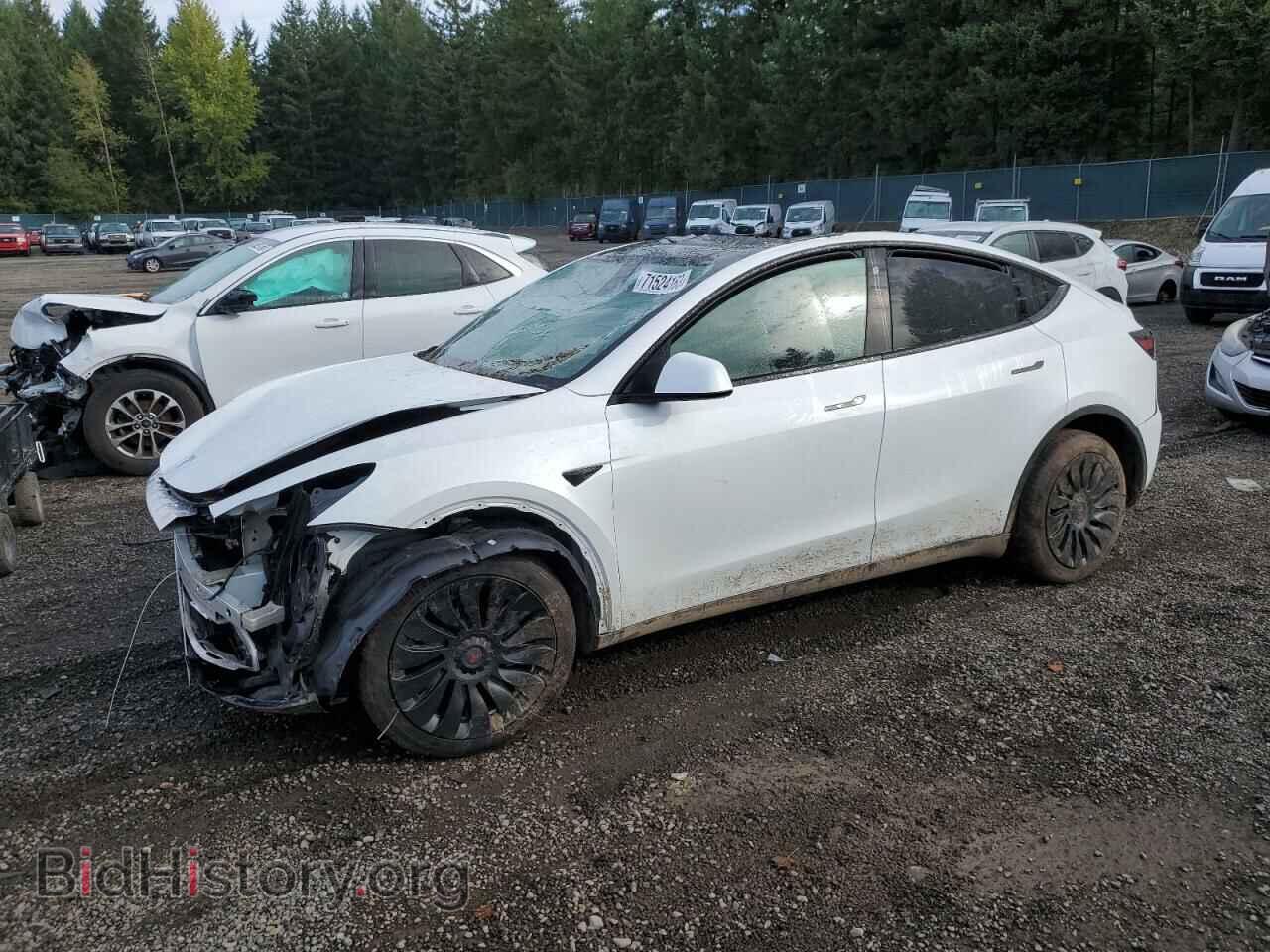 Фотография 7SAYGDEE1PF661626 - TESLA MODEL Y 2023