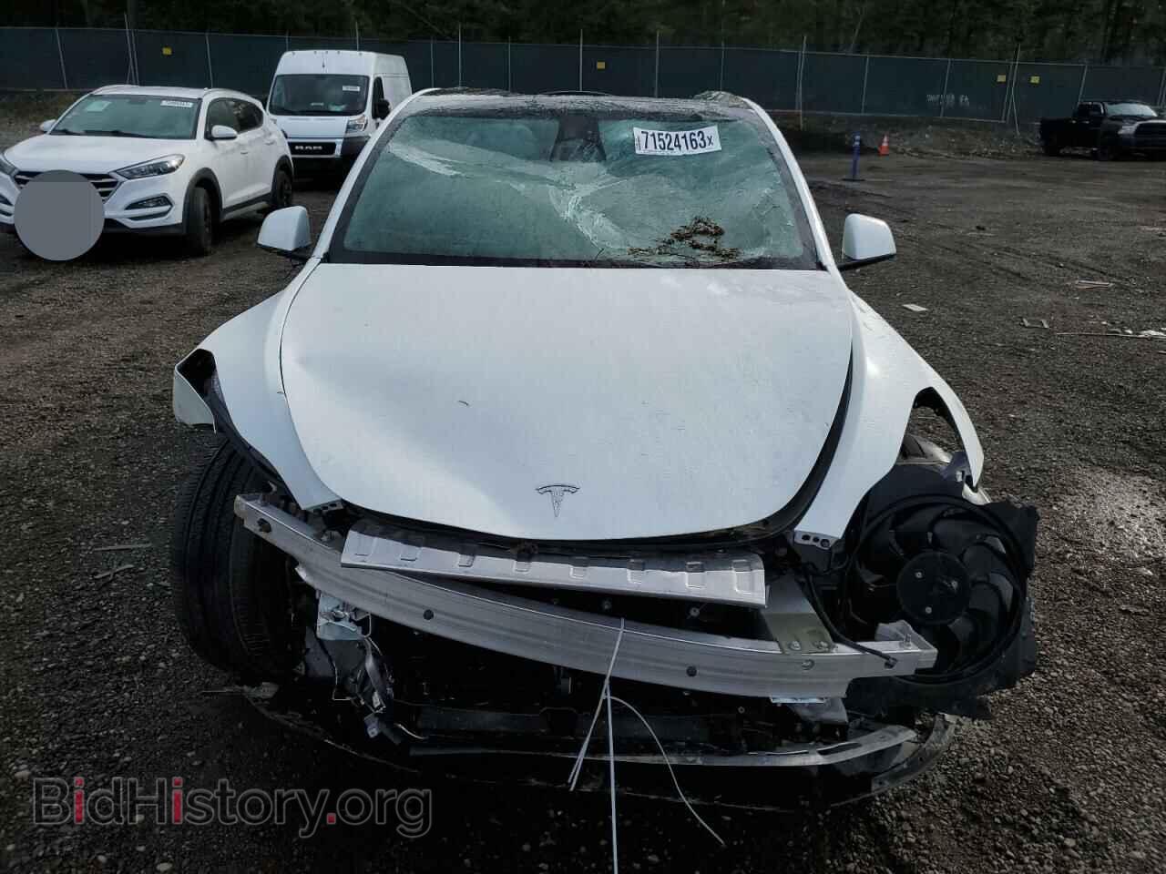 2023 TESLA MODEL Y - VIN: 7SAYGDEE1PF661626 - Фото 5