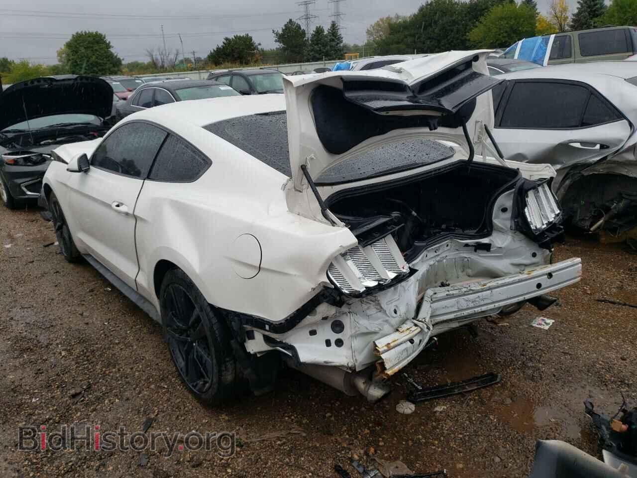 2017 FORD ALL Models - VIN: 1FA6P8TH9H5290233 - Фото 2