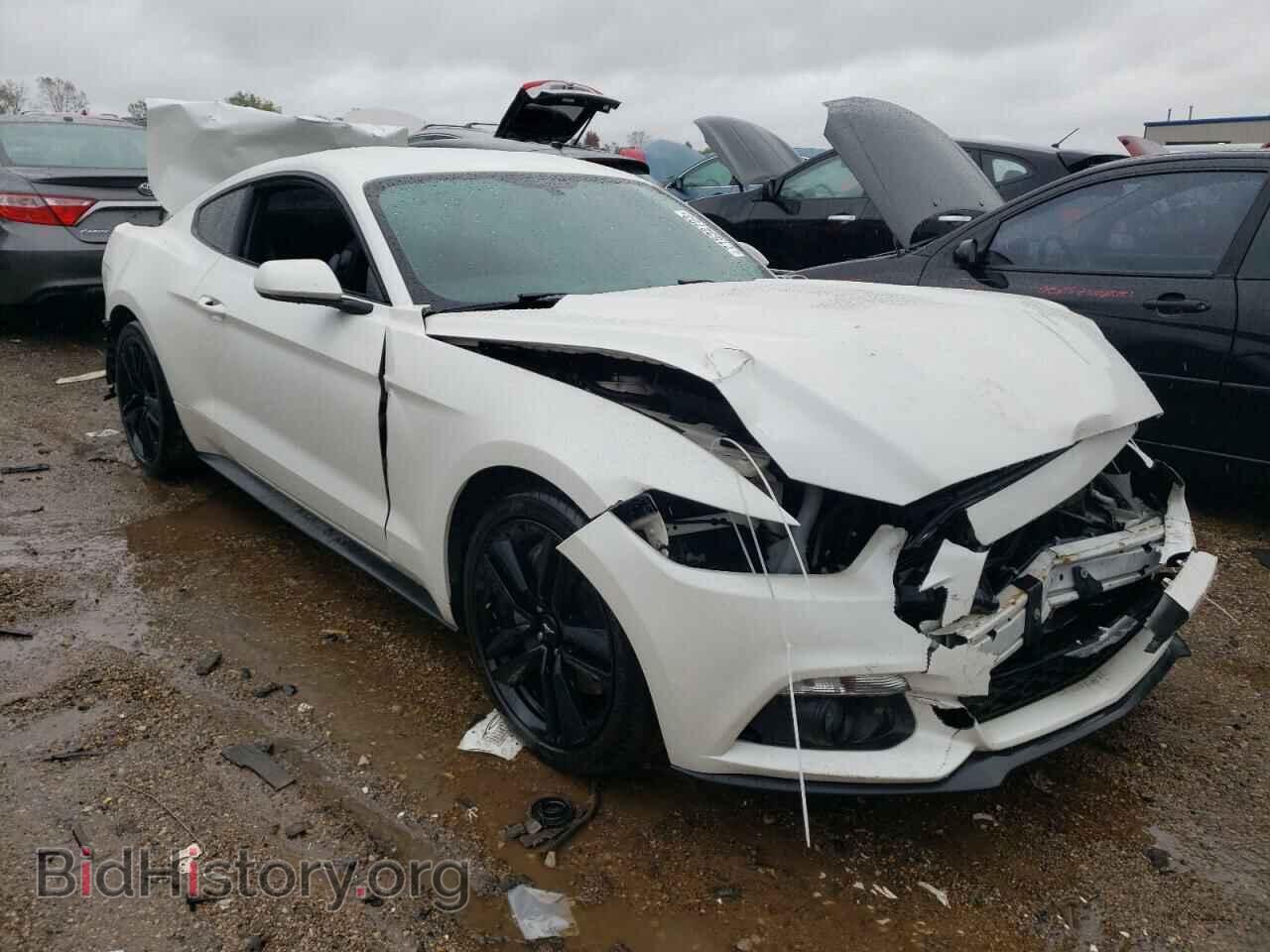 2017 FORD ALL Models - VIN: 1FA6P8TH9H5290233 - Фото 4