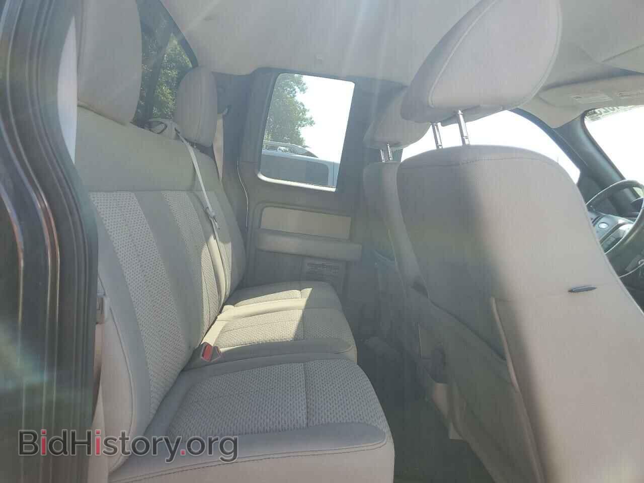 2010 FORD F-150 - VIN: 1FTFX1EV6AFA45121 - Фото 10