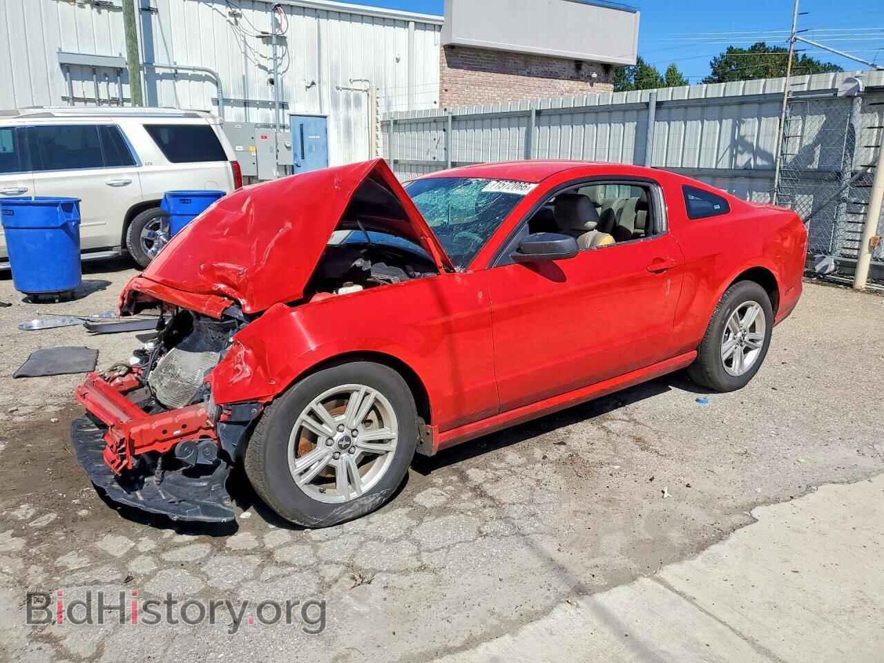 Фотография 1ZVBP8AM4E5210774 - FORD MUSTANG 2014