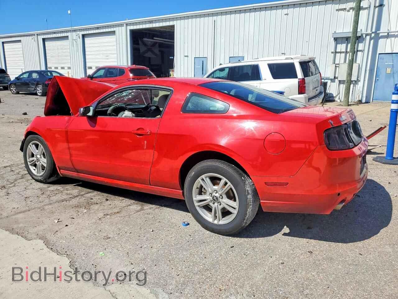 2014 FORD MUSTANG - VIN: 1ZVBP8AM4E5210774 - Photo 2