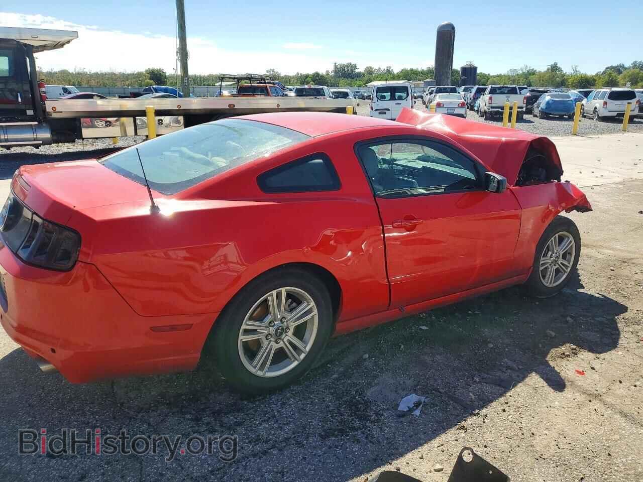 2014 FORD MUSTANG - VIN: 1ZVBP8AM4E5210774 - Photo 3