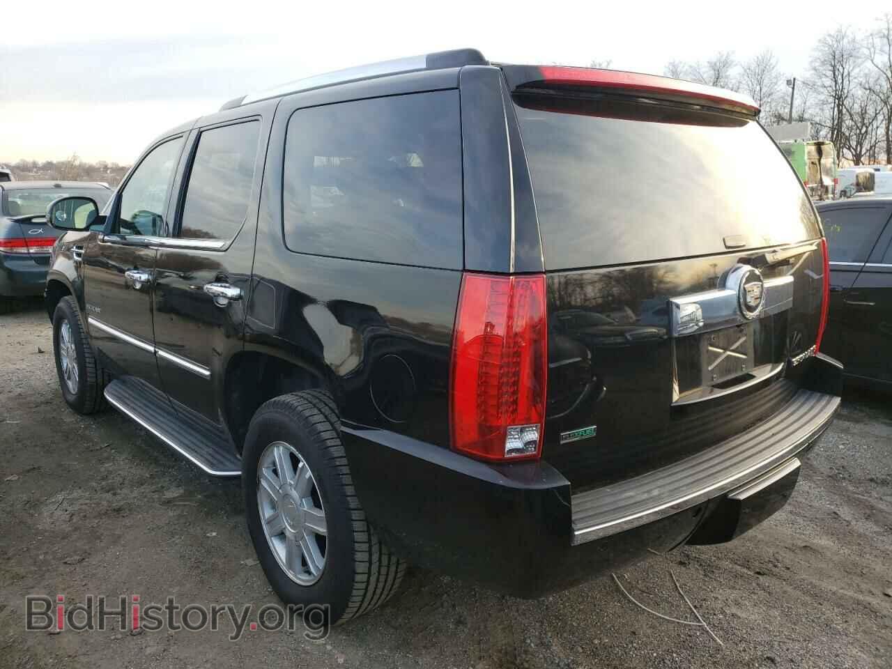 2010 CADILLAC ESCALADE - VIN: 1GYUKAEF1AR144811 - Фото 2