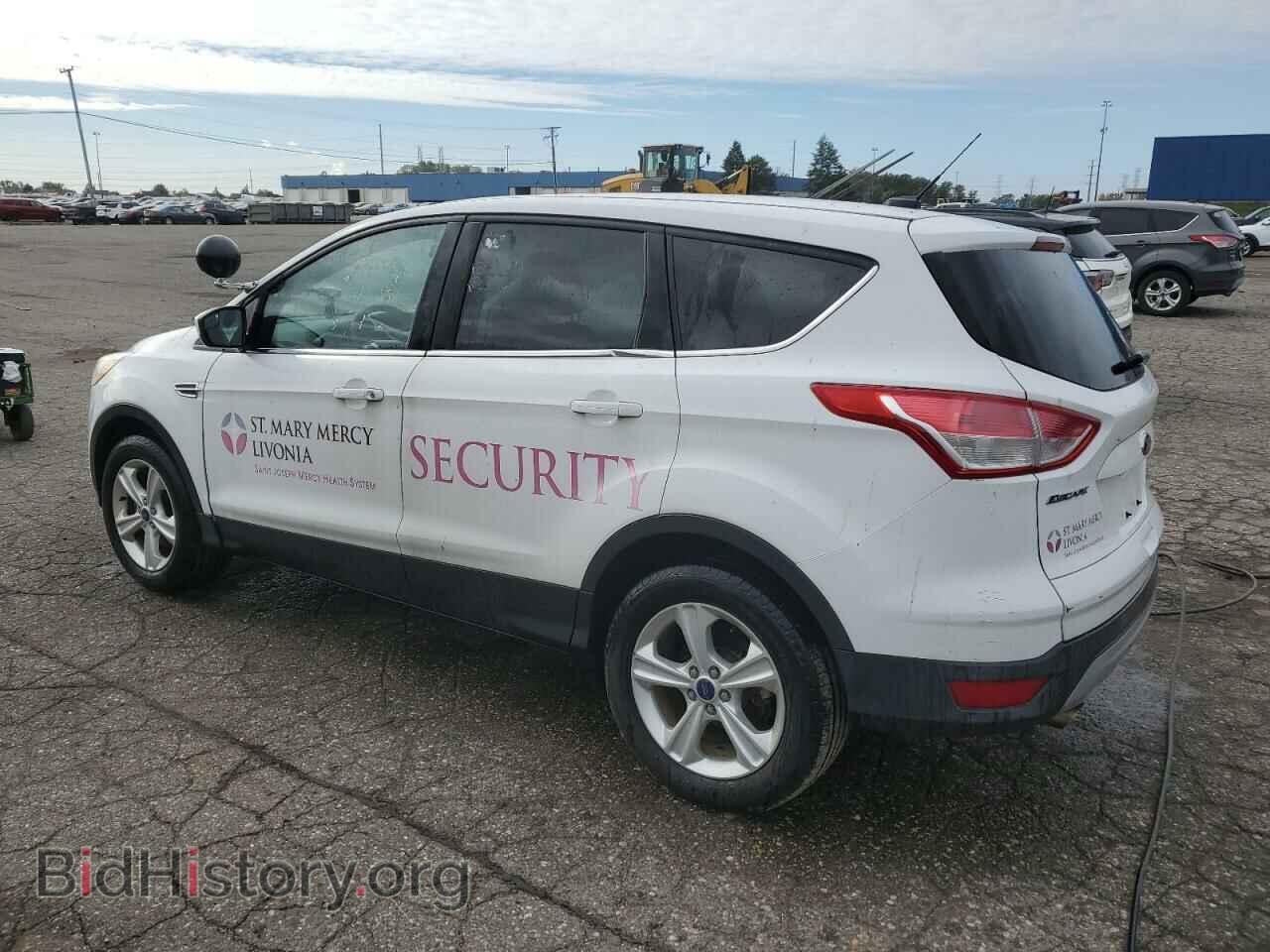 2014 FORD ESCAPE - VIN: 1FMCU0GX4EUB96105 - Фото 2
