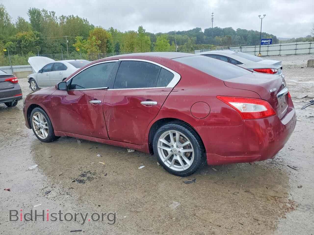 2009 NISSAN MAXIMA - VIN: 1N4AA51E49C845489 - Photo 2
