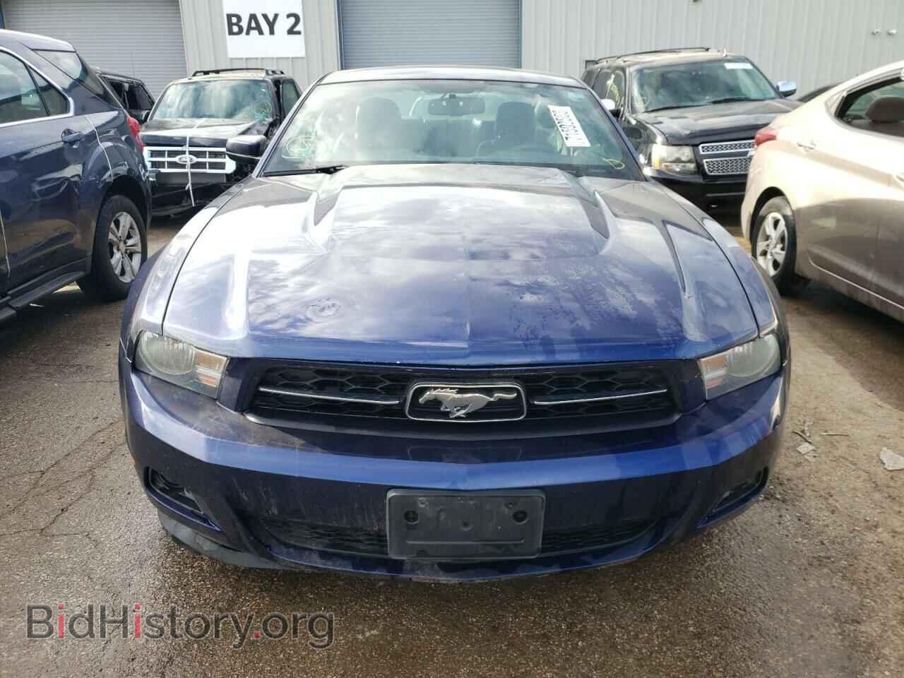 2012 FORD ALL Models - VIN: 1ZVBP8AM8C5234251 - Фото 5