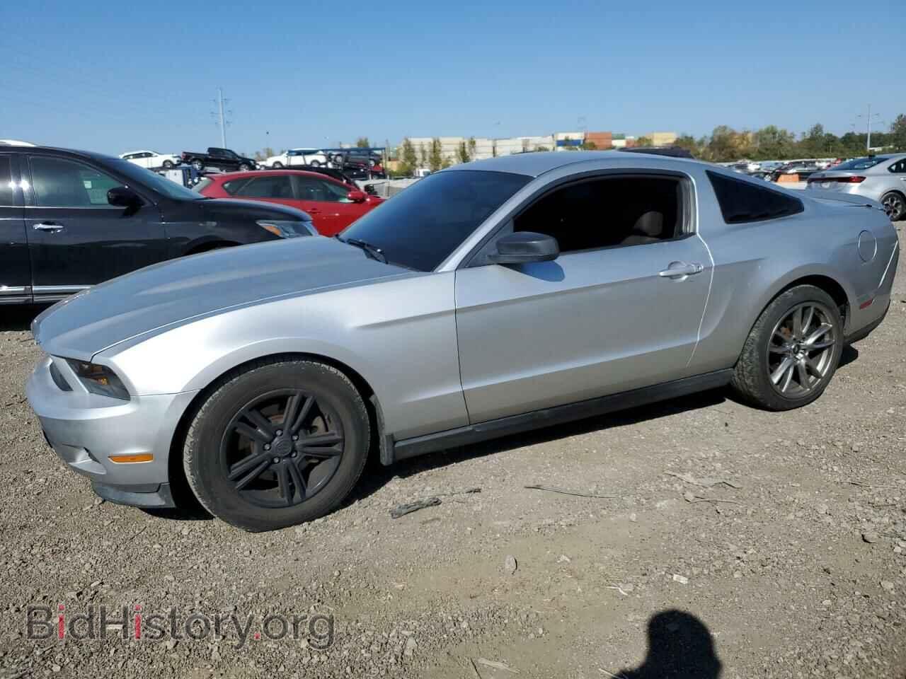 Фотография 1ZVBP8AMXC5240522 - FORD ALL Models 2012