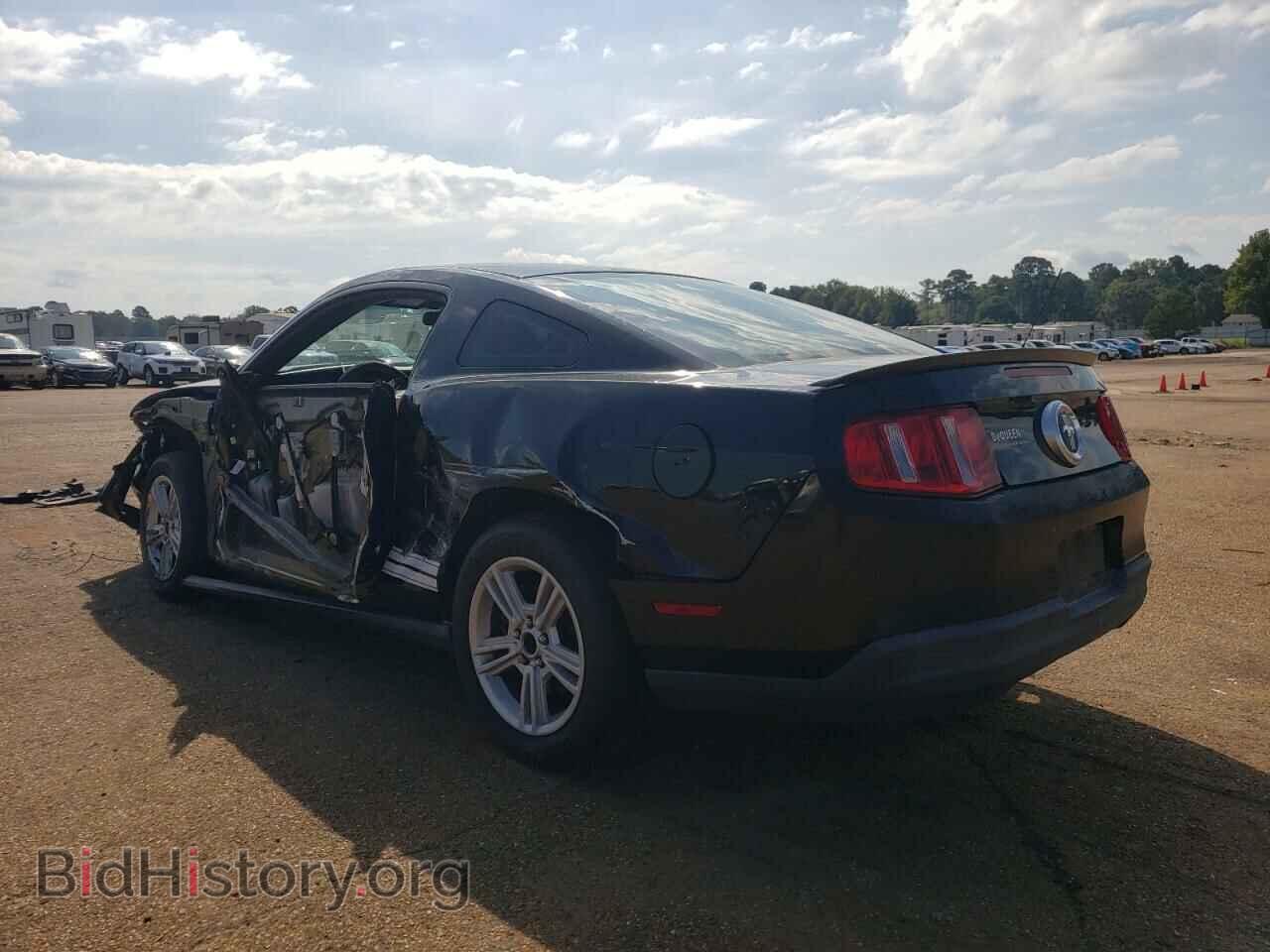 2010 FORD ALL Models - VIN: 1ZVBP8AN2A5120428 - Фото 2