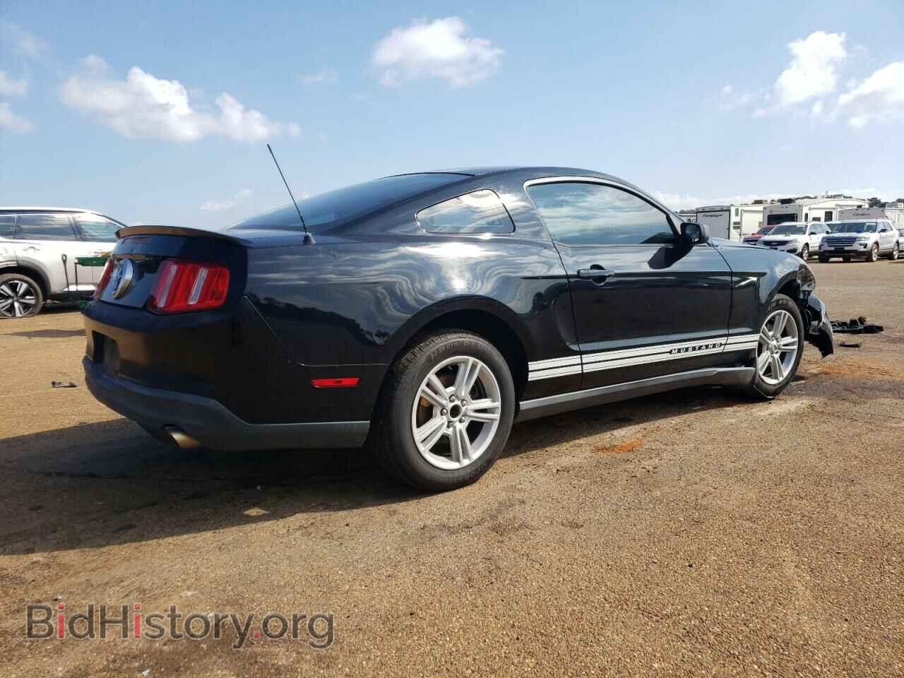 2010 FORD ALL Models - VIN: 1ZVBP8AN2A5120428 - Фото 3