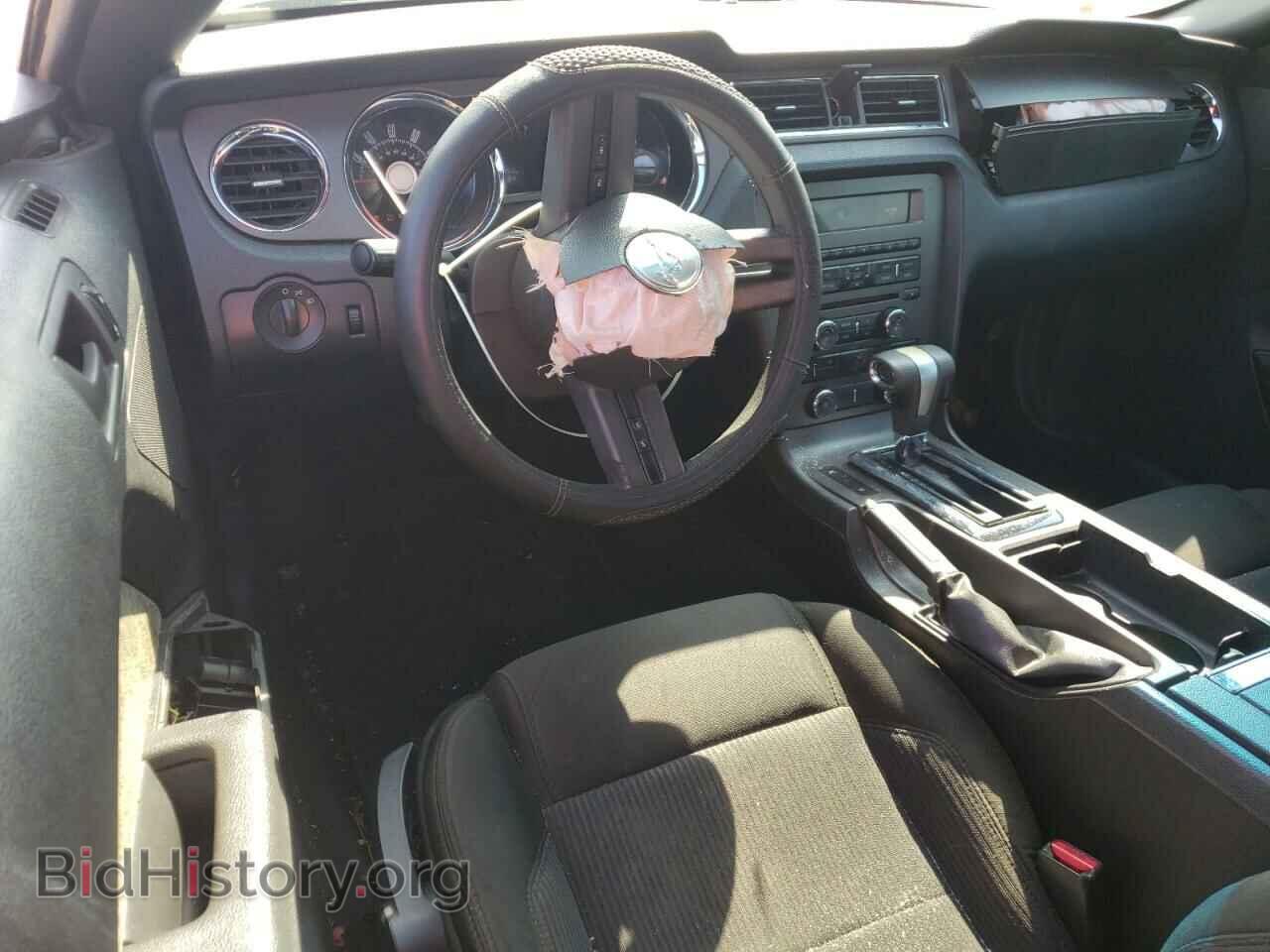 2010 FORD ALL Models - VIN: 1ZVBP8AN2A5120428 - Фото 8