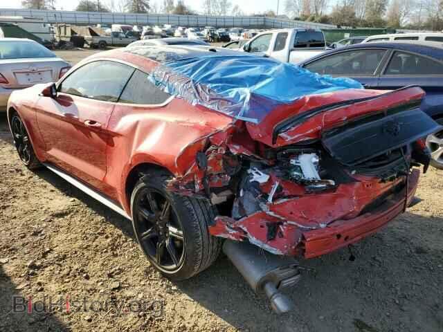 2019 FORD MUSTANG - VIN: 1FA6P8TH1K5197620 - Фото 2