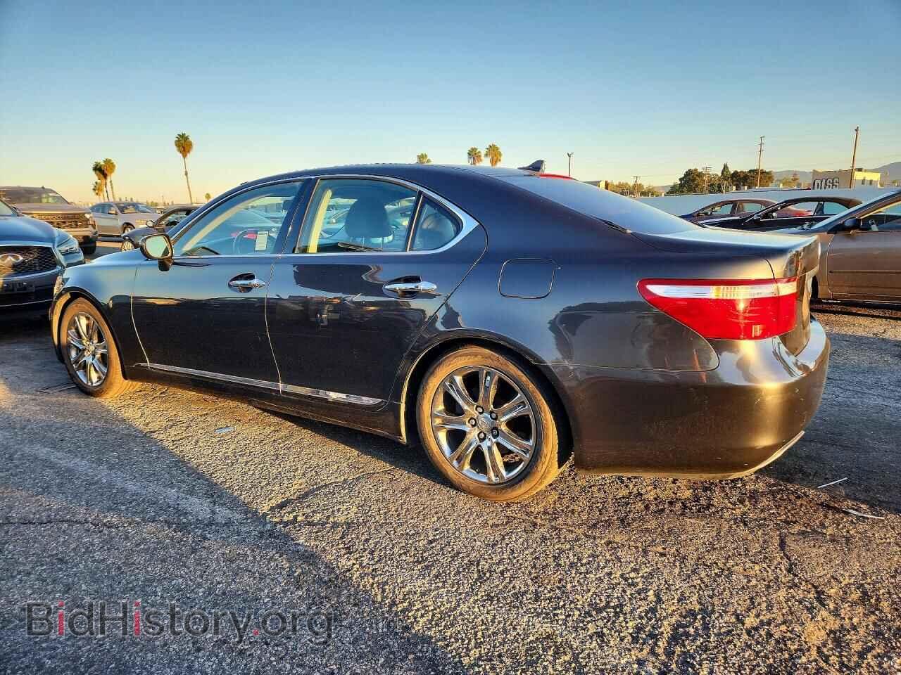 2007 LEXUS LS460 - VIN: JTHBL46FX75034462 - Фото 2
