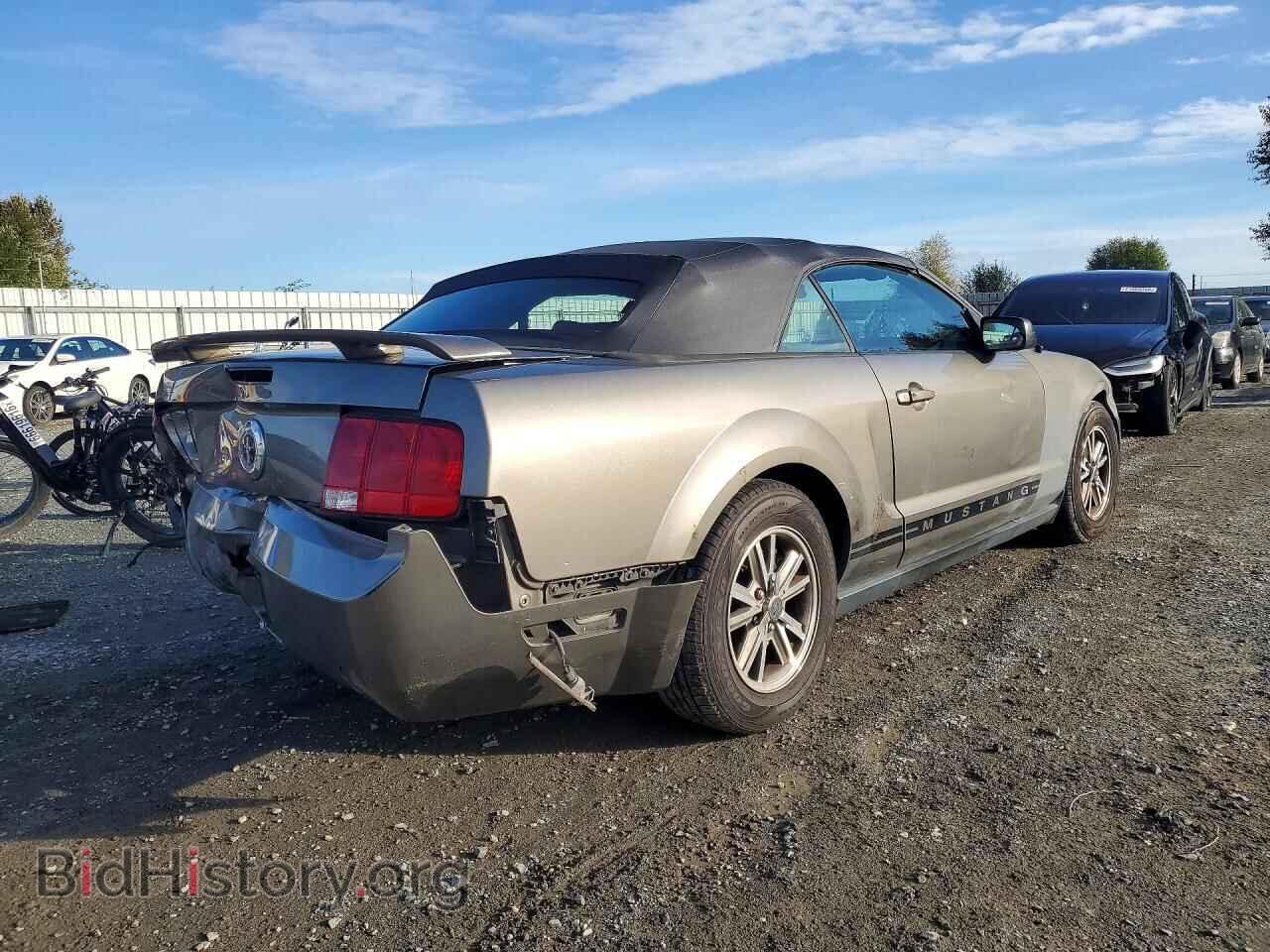 2005 FORD MUSTANG - VIN: 1ZVFT84N355253942 - Фото 3