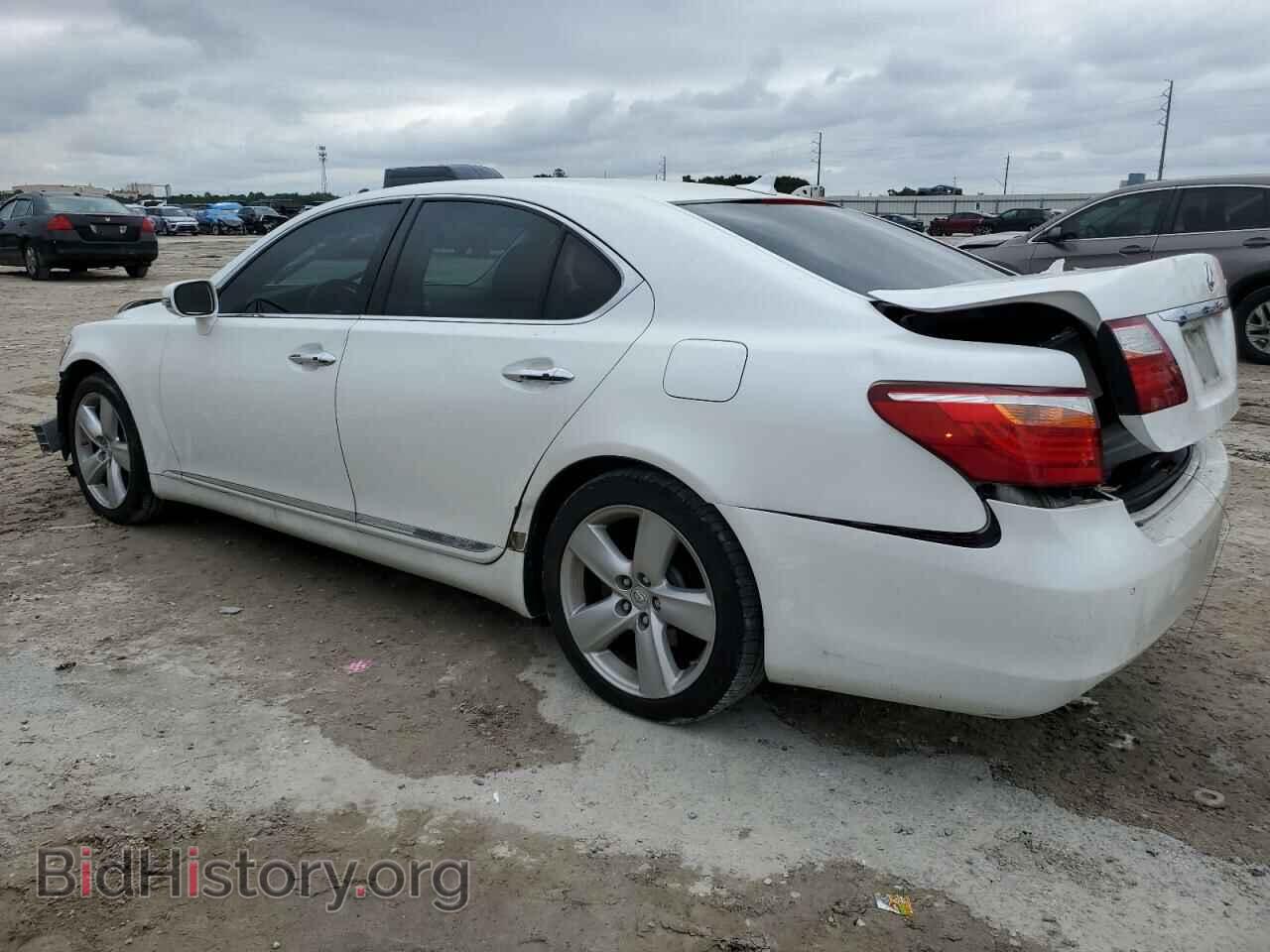2011 LEXUS LS460 - VIN: JTHBL5EF9B5104212 - Фото 2