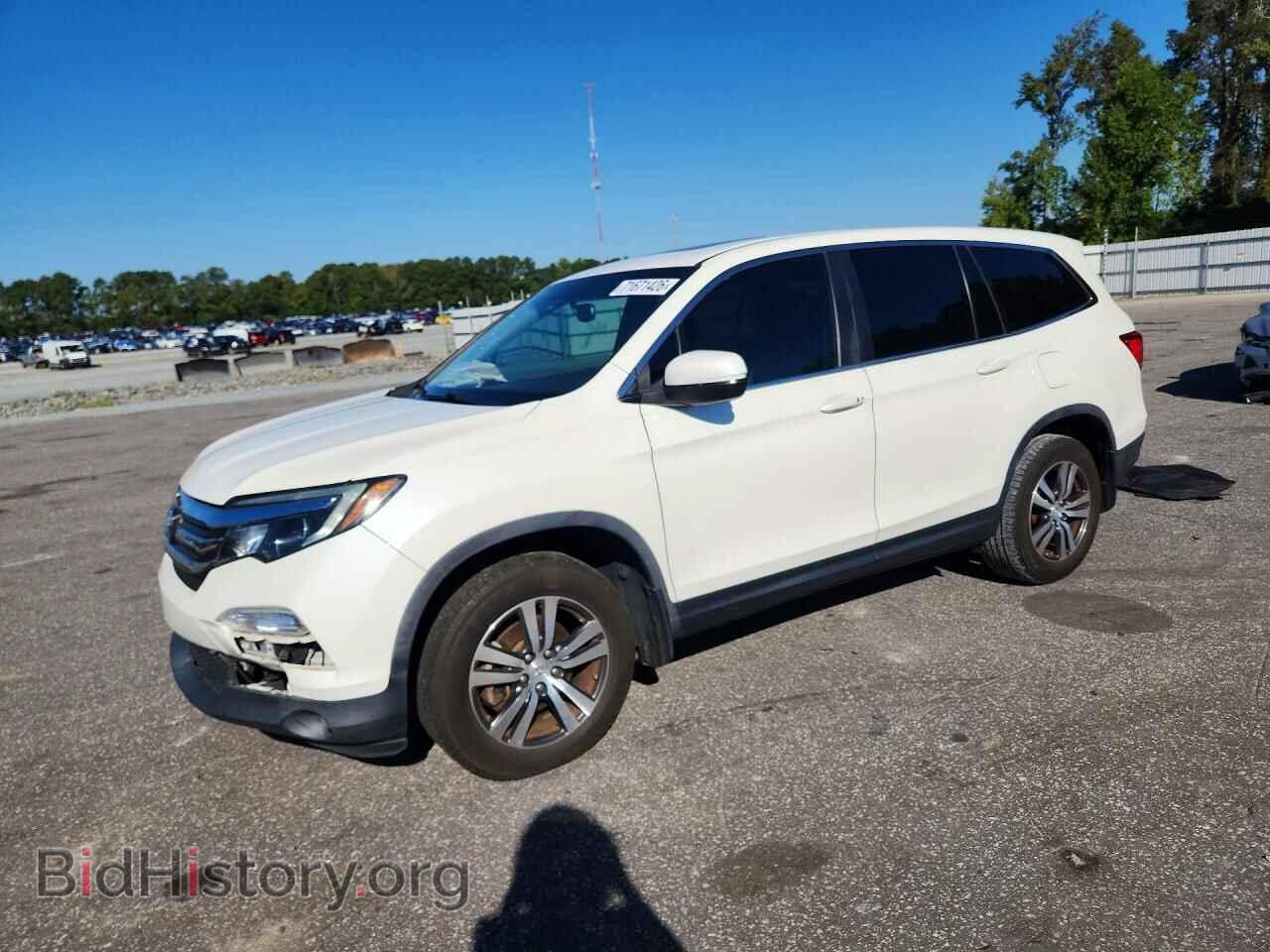 Photo 5FNYF5H50JB010464 - HONDA PILOT 2018