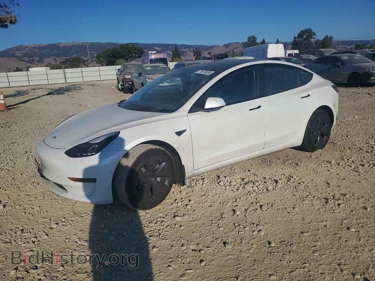 Photo 5YJ3E1EA8NF196784 - TESLA MODEL 3 2022