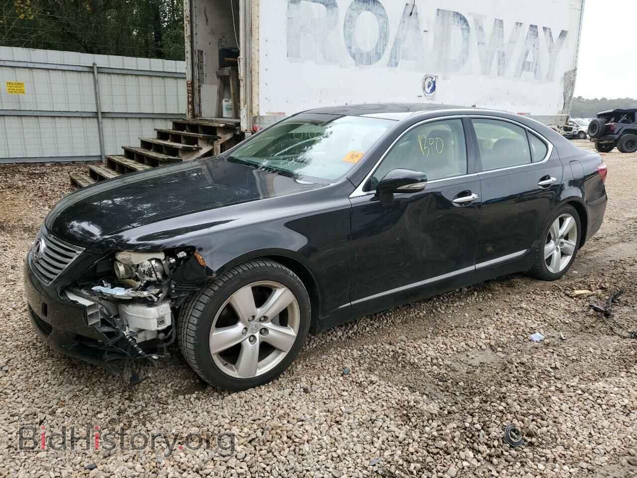 Фотография JTHBL5EF8A5099518 - LEXUS LS460 2010
