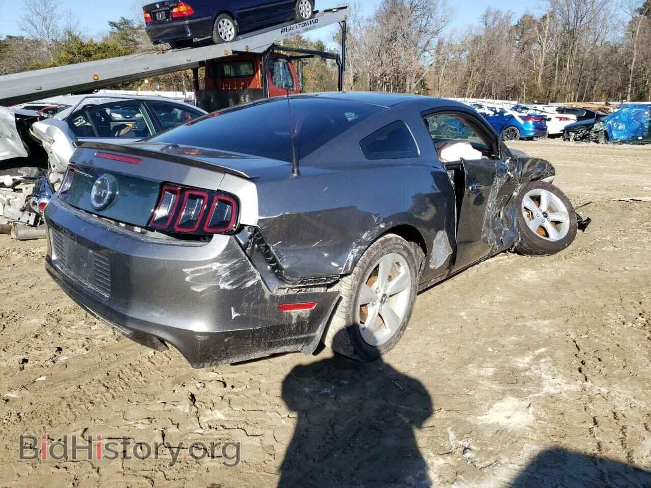 2013 FORD MUSTANG - VIN: 1ZVBP8CF8D5254242 - Фото 3