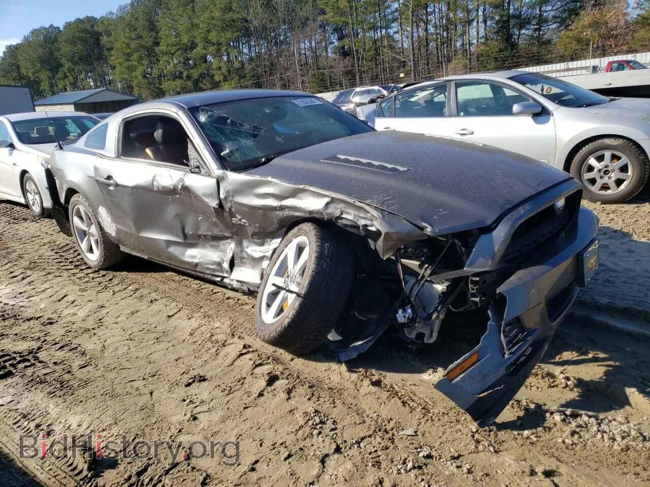 2013 FORD MUSTANG - VIN: 1ZVBP8CF8D5254242 - Фото 4