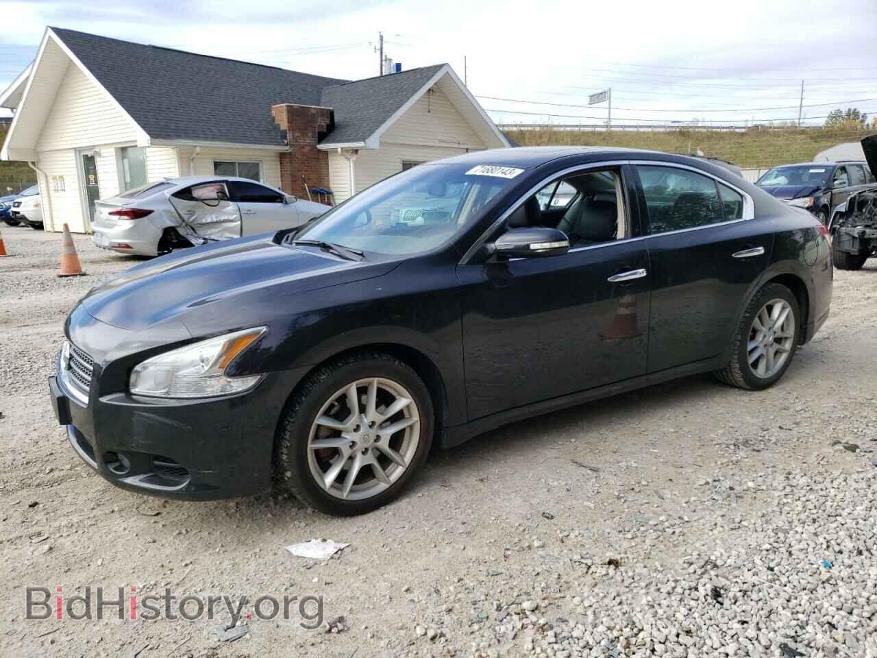 Фотография 1N4AA5AP1AC840501 - NISSAN MAXIMA 2010
