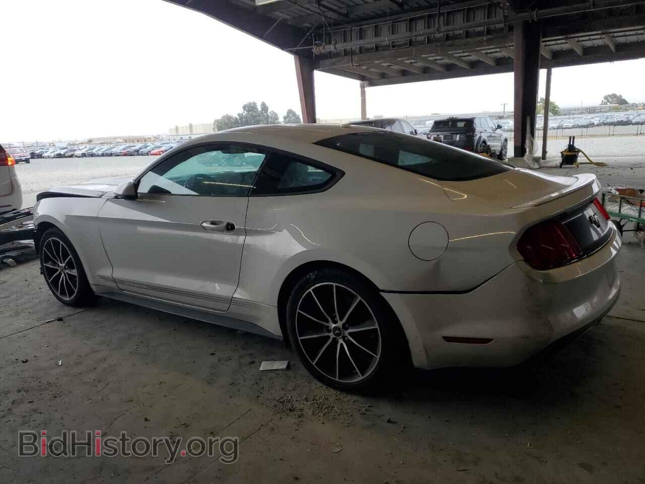 2016 FORD ALL Models - VIN: 1FA6P8TH3G5259512 - Photo 2