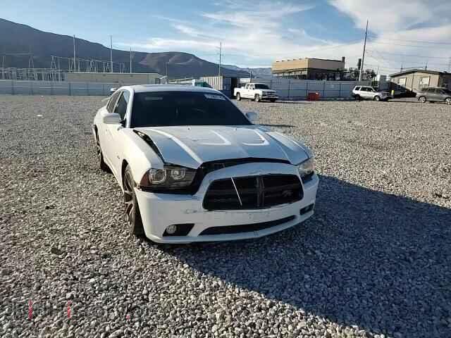2014 DODGE CHARGER - VIN: 2C3CDXCT0EH309183 - Photo 14