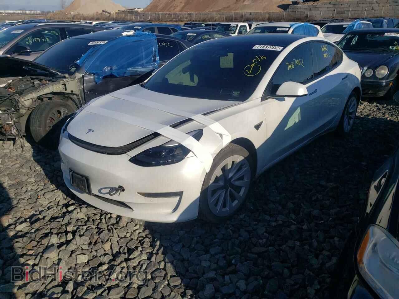 Photo 5YJ3E1EB9MF010175 - TESLA MODEL 3 2021