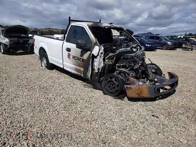2018 FORD All Models - VIN: 1FTMF1CBXJKE51445 - Фото 13