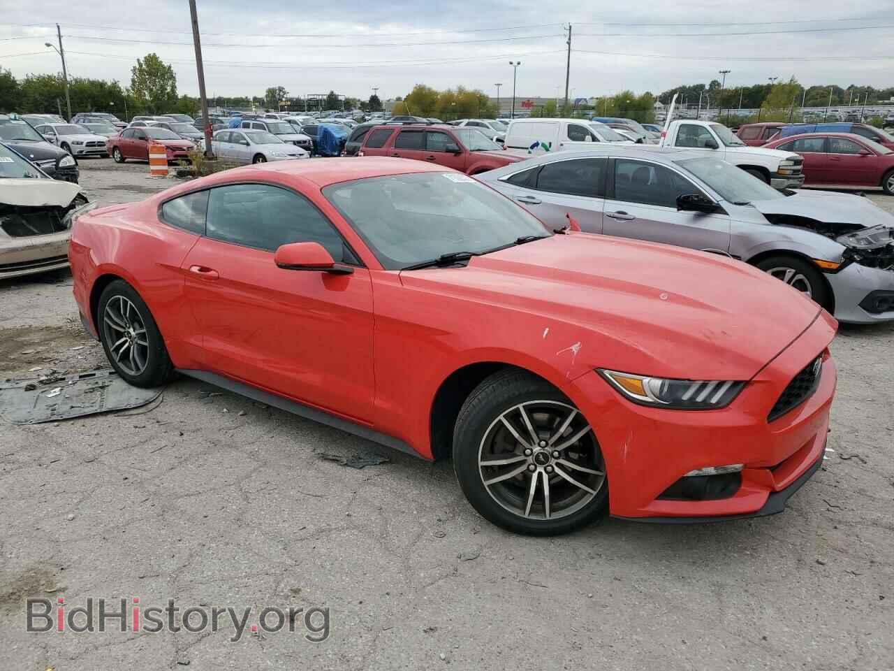 2017 FORD ALL Models - VIN: 1FA6P8TH8H5317583 - Photo 4