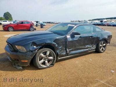 2012 Ford ALL MODELS, black — VIN 1ZVBP8AM3C5214389, Copart