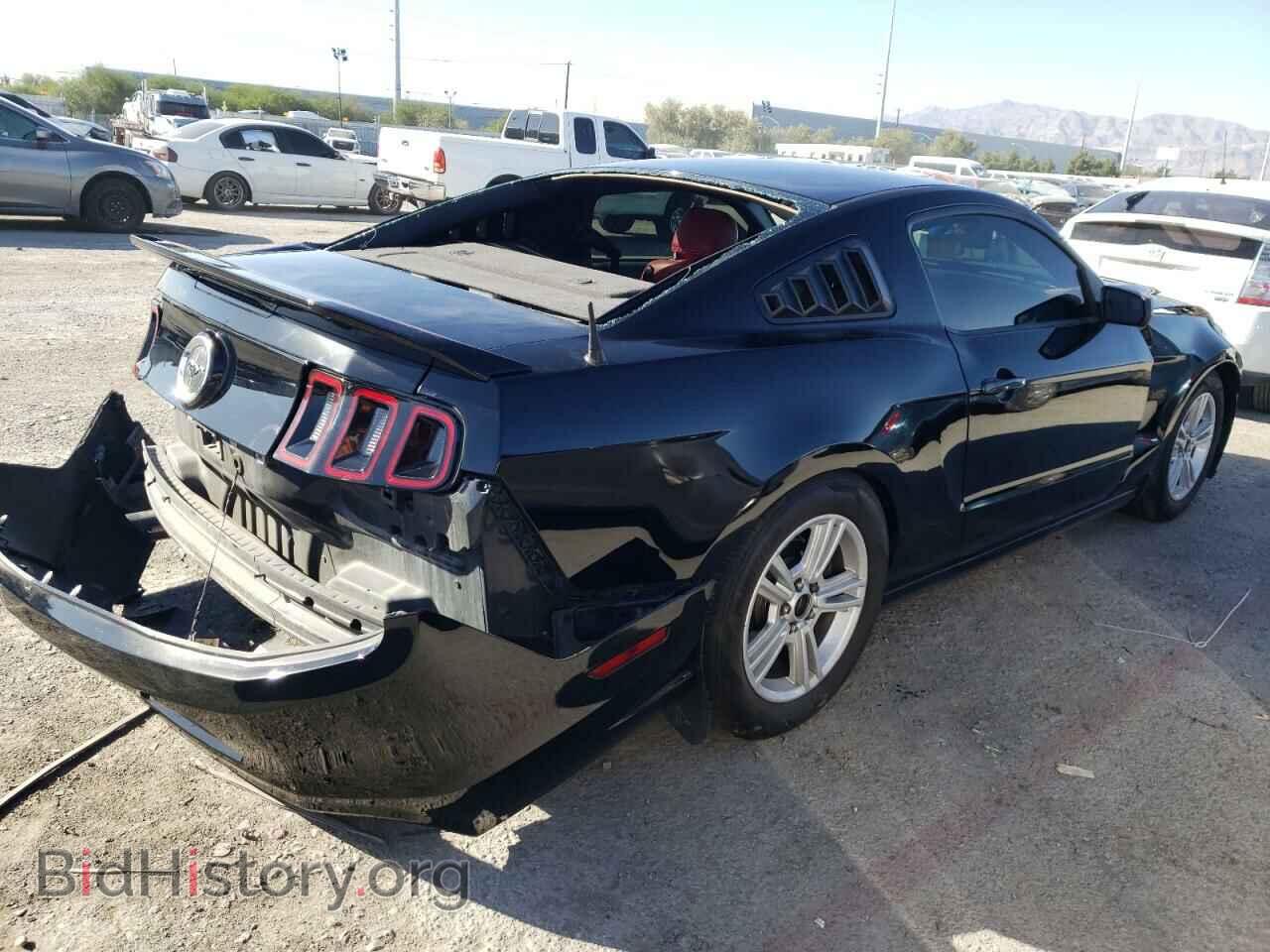 2014 FORD ALL Models - VIN: 1ZVBP8AM0E5204843 - Фото 3