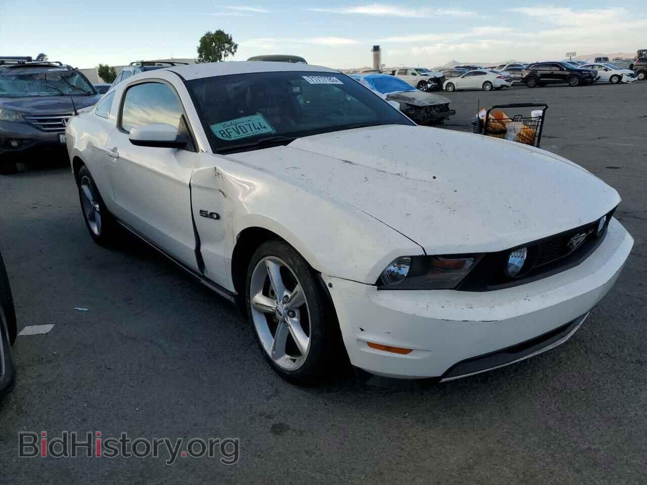 2012 FORD MUSTANG - VIN: 1ZVBP8CF4C5256827 - Фото 4