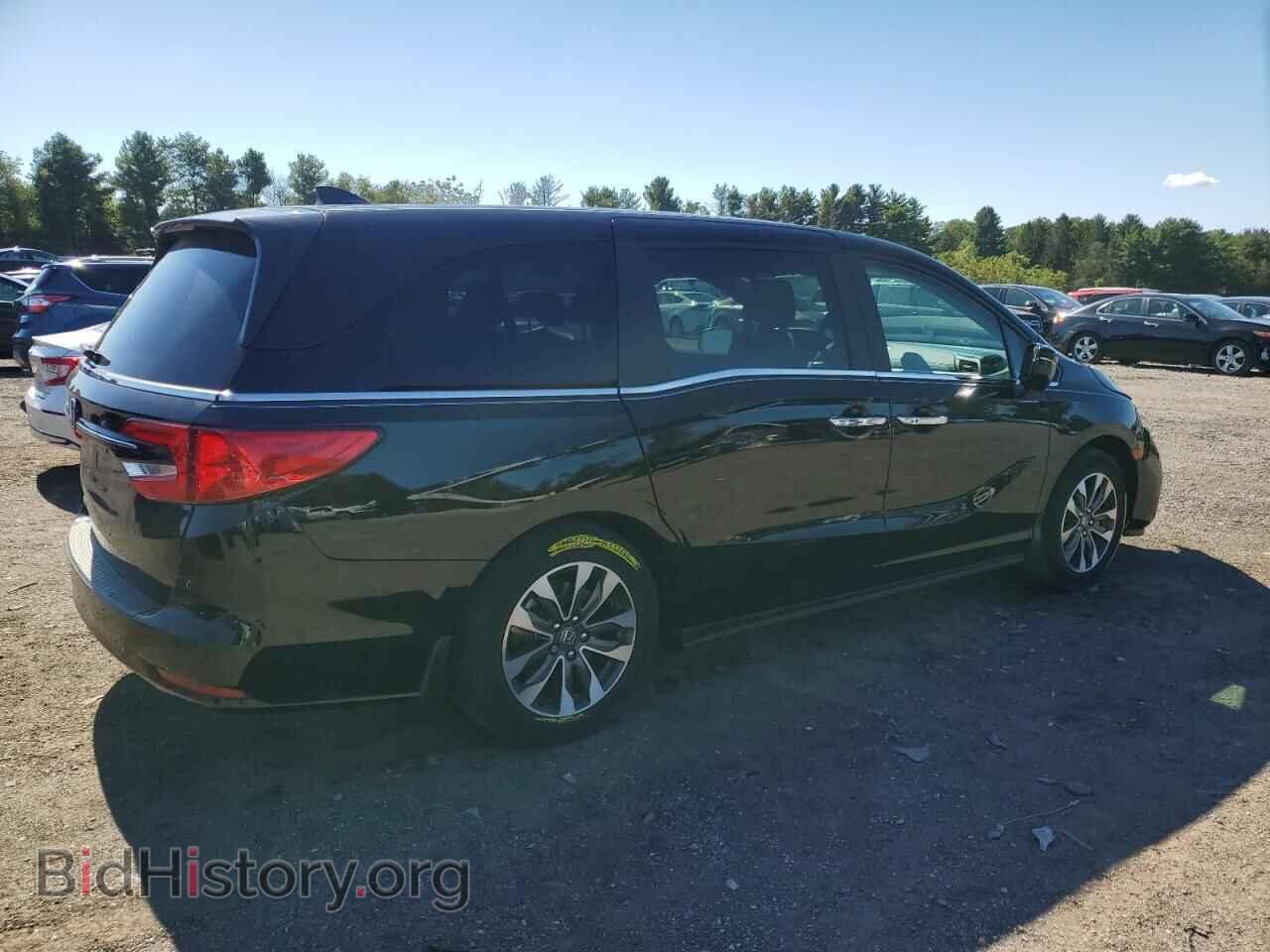 2024 HONDA All Models - VIN: 5FNRL6H61RB033033 - Фото 3