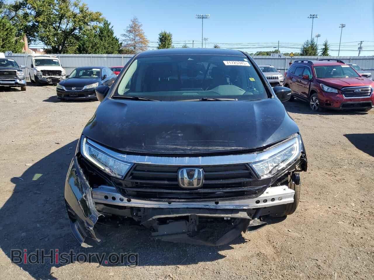 2024 HONDA All Models - VIN: 5FNRL6H61RB033033 - Фото 5