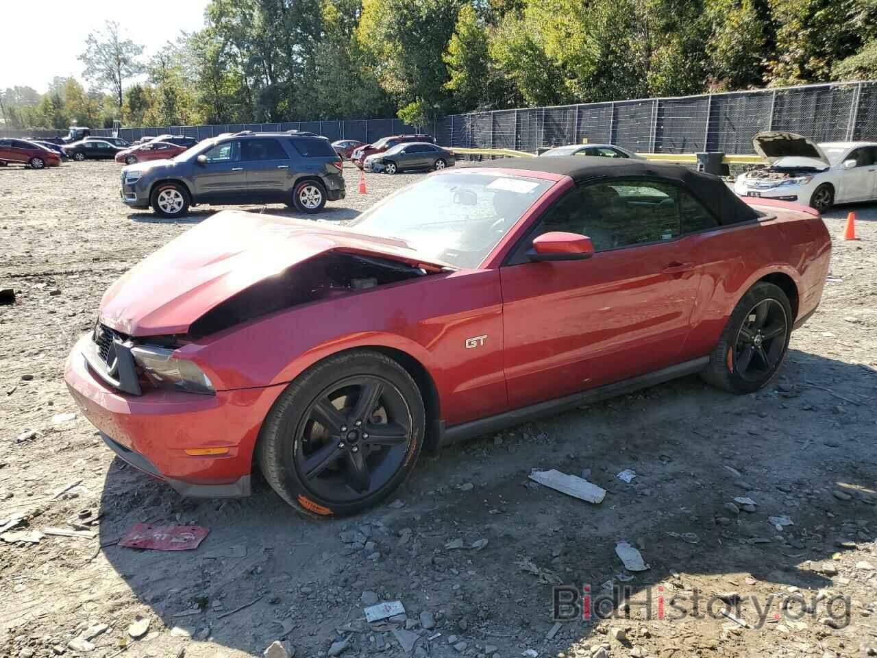 Photo 1ZVBP8FH1A5143198 - FORD MUSTANG 2010