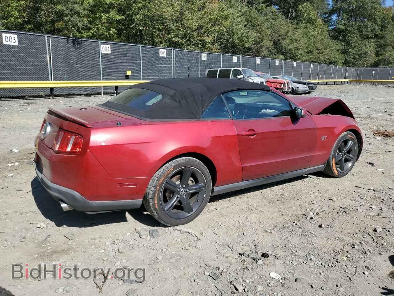 2010 FORD MUSTANG - VIN: 1ZVBP8FH1A5143198 - Фото 3