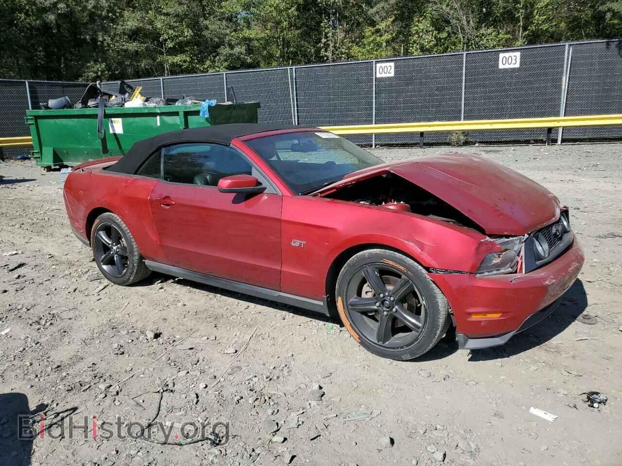 2010 FORD MUSTANG - VIN: 1ZVBP8FH1A5143198 - Фото 4