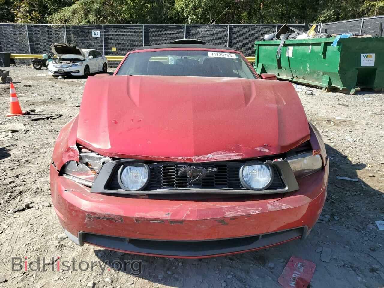 2010 FORD MUSTANG - VIN: 1ZVBP8FH1A5143198 - Фото 5